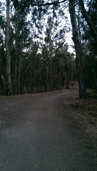 Point Pinole Regional Shoreline