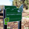 Pismo Monarch Butterfly Grove