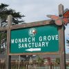 Pacific Grove Monarch Butterfly Sanctuary