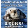 Elkhorn Slough Safari
