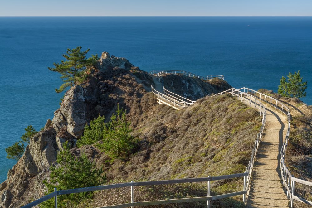 8 of the Best Coastal Hikes in California for Views of the Pacific Ocean