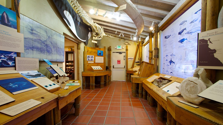 Pacific Grove Museum of Natural History
