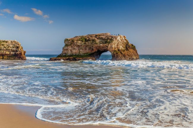 Read more about Natural Bridges State Beach