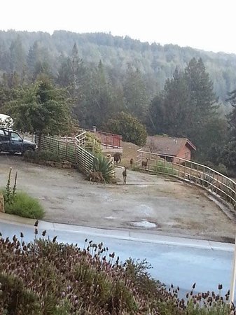 Sankat Mochan Hanuman Temple