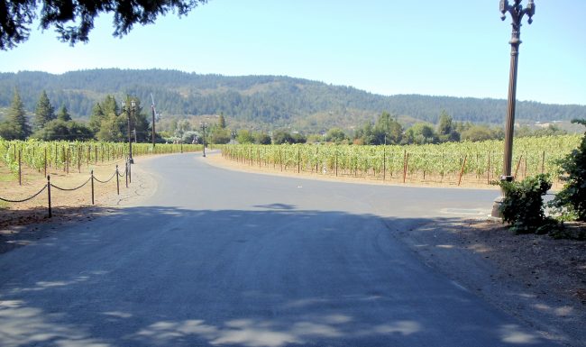Ledson Winery and Vineyards, Santa Rosa, California, USA
