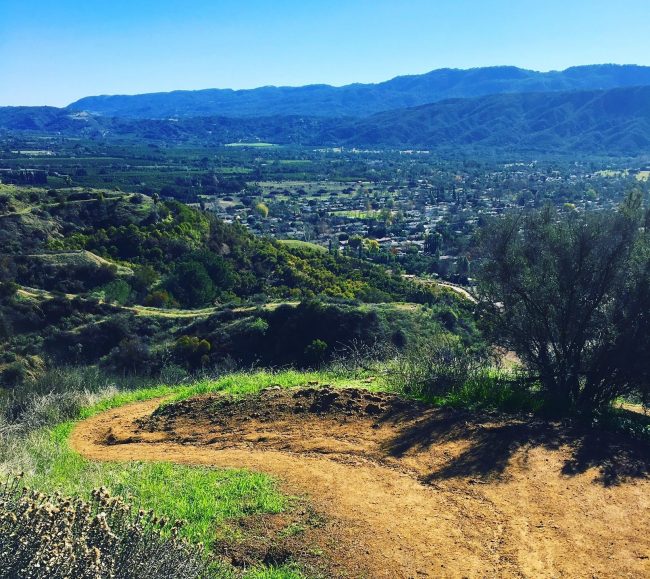 extra_large_69308d6e60e9dc565680f0b4c1feda69