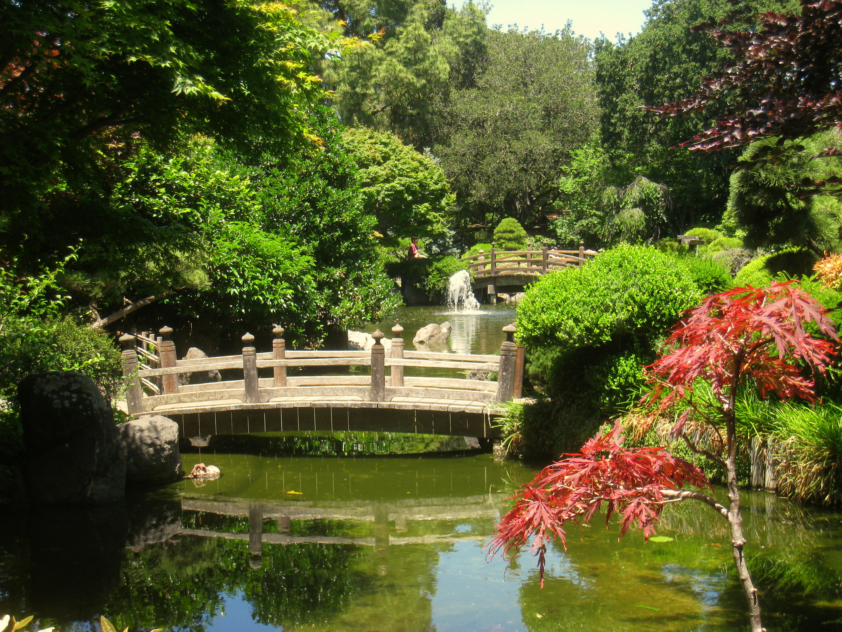 ☘️aiiKEN72*Garden☘️AG202507 The San Mateo Japanese Garden, San Mateo, CA - California