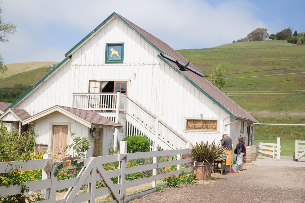 Harley Farms Goat Dairy