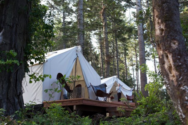 Mendocino Grove Campground tents on platform