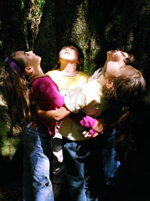 WildCare