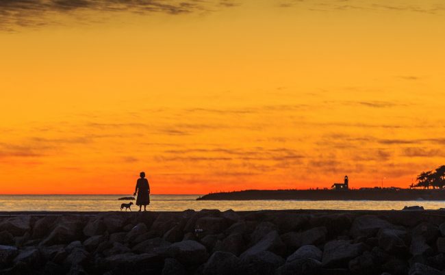Silhouette of a lady and a dog watching sunset over the ocean