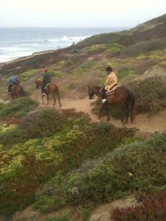 Mar Vista Stables Horseback Riding