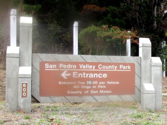 San Pedro Valley Park