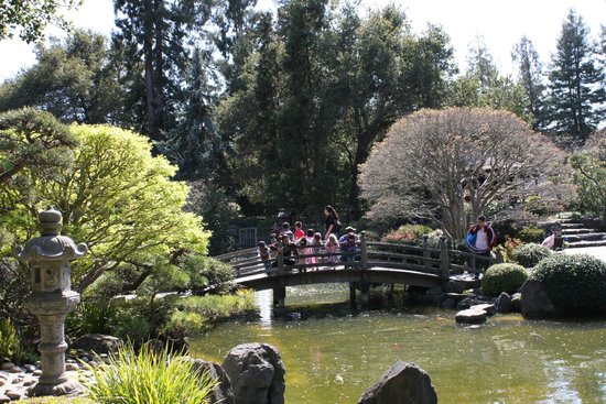 The San Mateo Japanese Garden