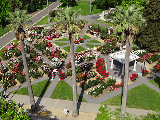 International World Peace Gardens