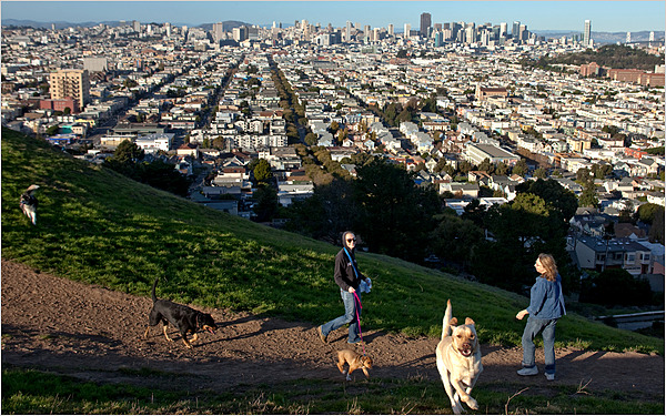 Bernal Heights Park