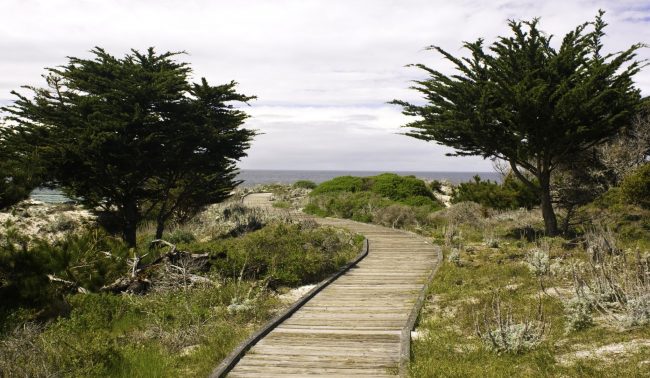 Monterey Dunes Vacation Rentals