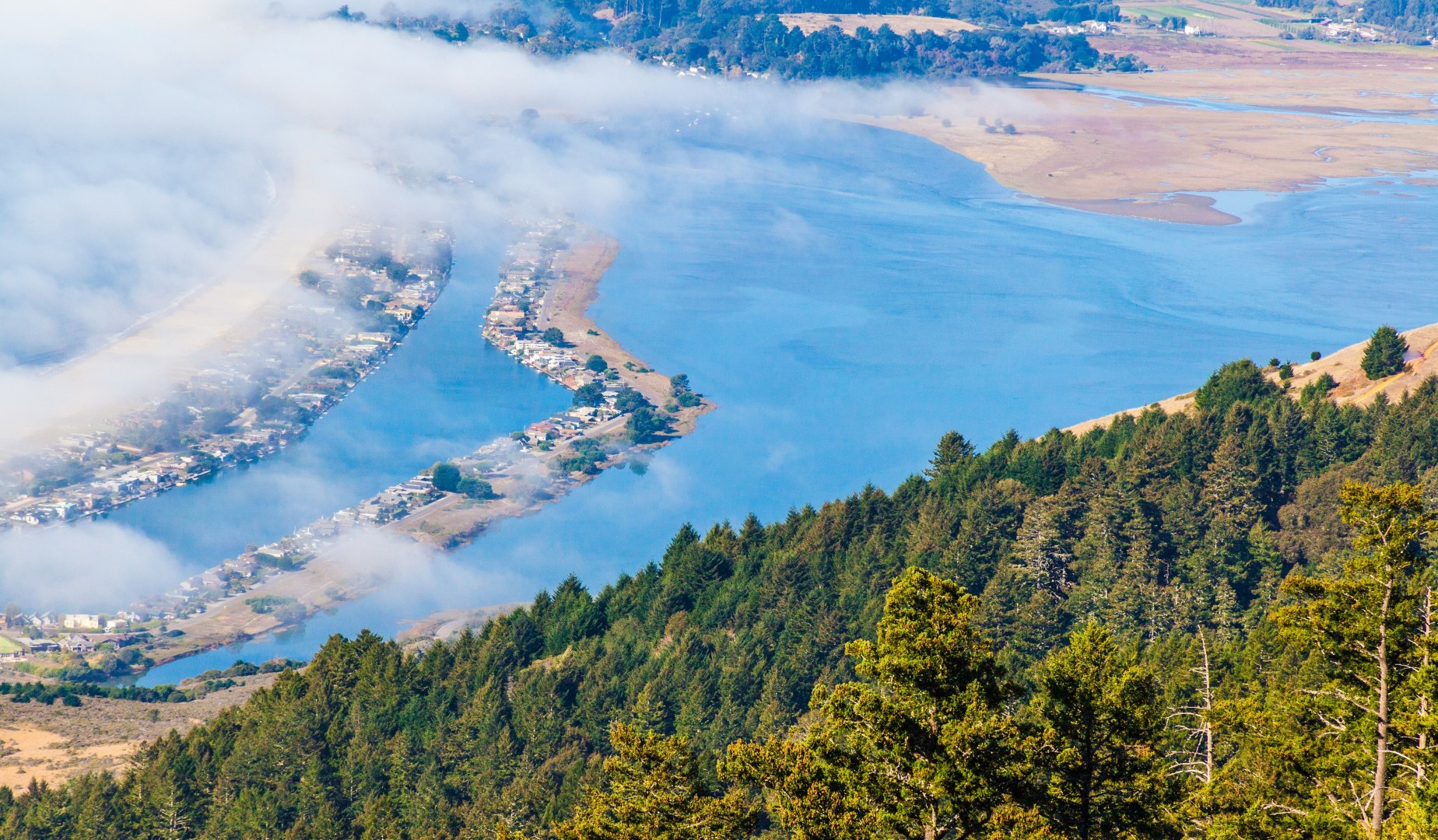 Bolinas Lagoon Seals and Birdwatching, Stinson Beach, CA California
