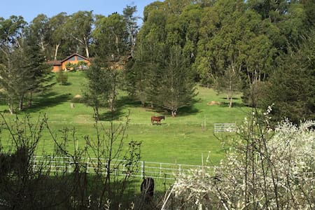 La Selva Beach Vacation Rentals