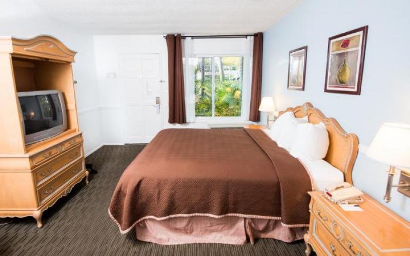 velvet pumps with bow