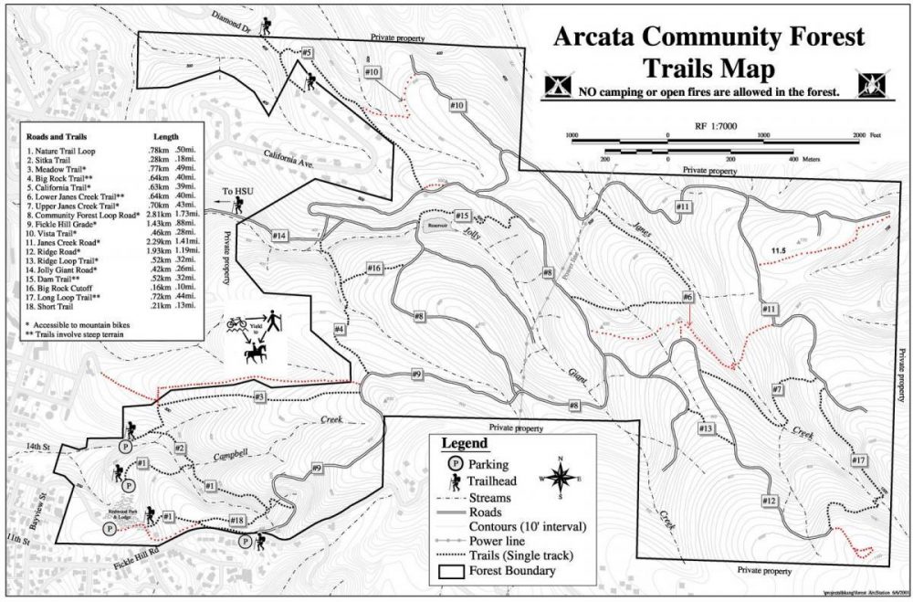 Arcata Community Forest