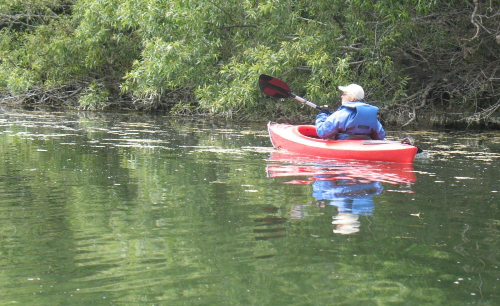 Gualala River Kayaking