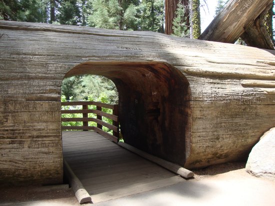 Sequoia Park Garden