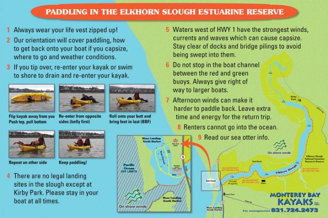 Kayak Rentals for Elkhorn Slough