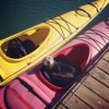 Kayak Rentals for Elkhorn Slough