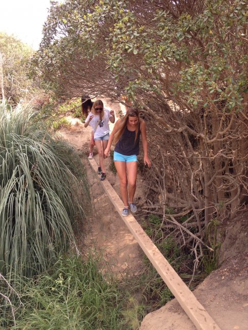 Ho Chi Minh Trail La Jolla Ca California Beaches