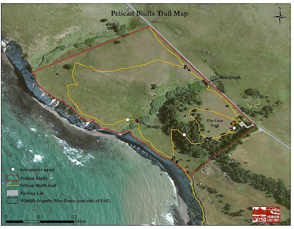Pelican Bluffs Preserve