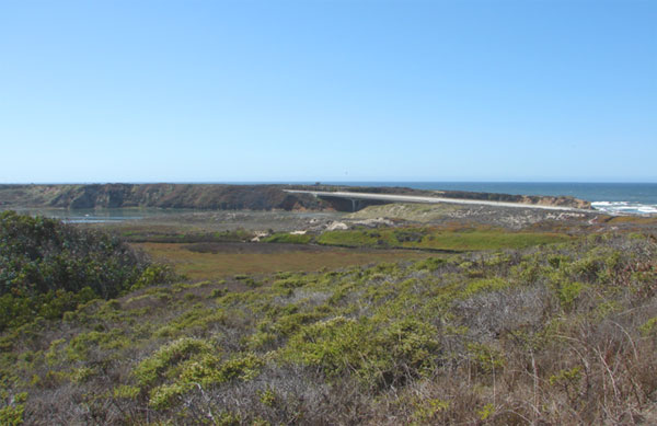 Sequoia Audubon Trail at Pescadero Marsh Natural Preserve