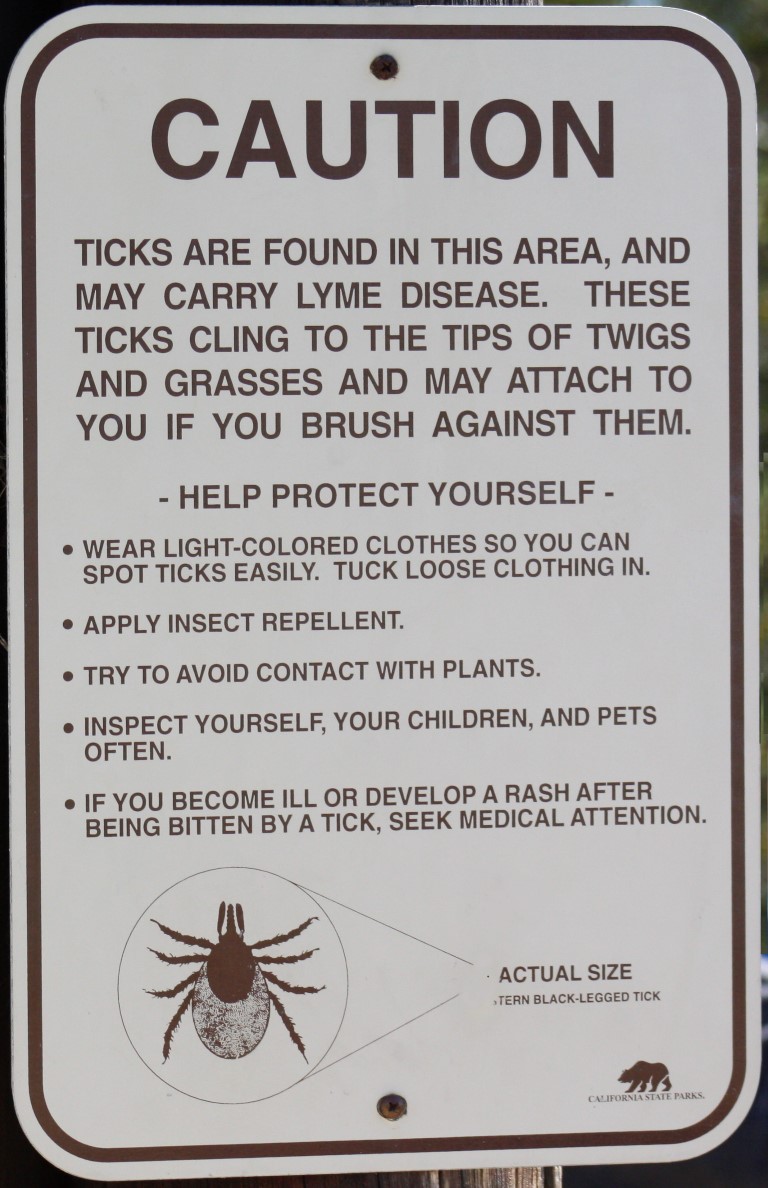 Ticks at California Beaches California Beaches