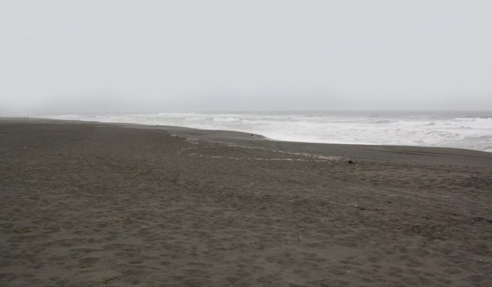 Ossagon Creek Trail & Beach