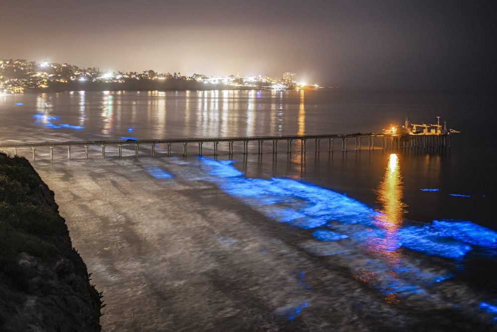 What's causing California's ocean waves to glow?