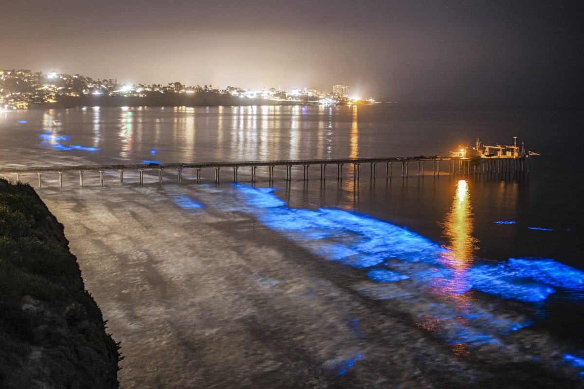 Bioluminescent Waves at California Beaches
