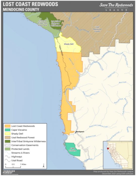 Lost Coast Redwoods Property