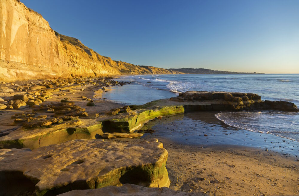 Blacks Beach